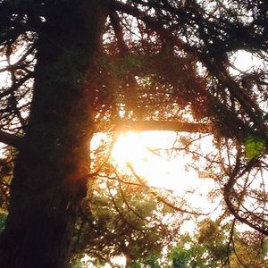 Meet your Posher, Mary-gemma